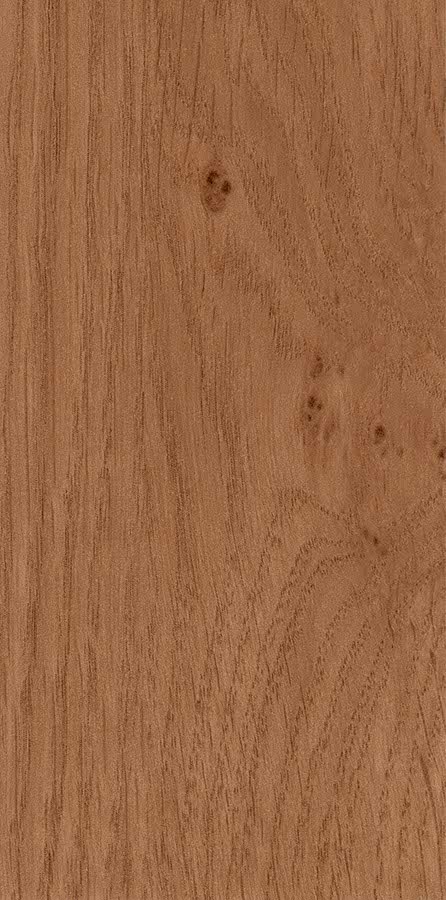 26 İrlanda Meşesi 1393L MX