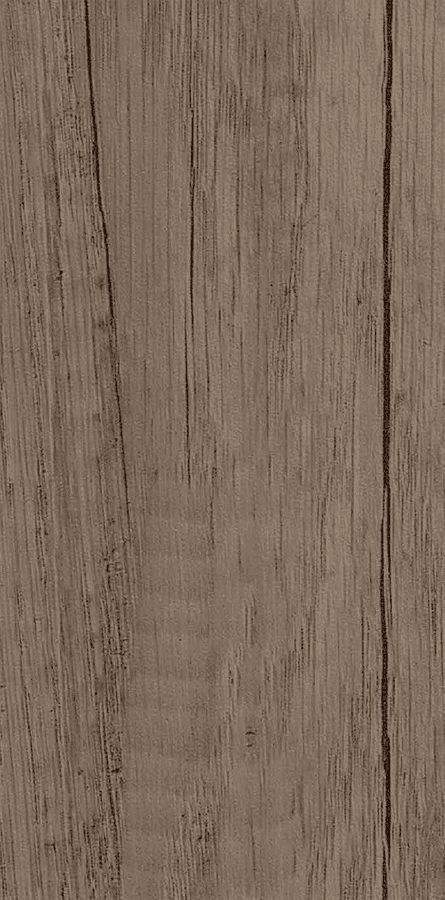 Dağ Meşesi 1892L PX