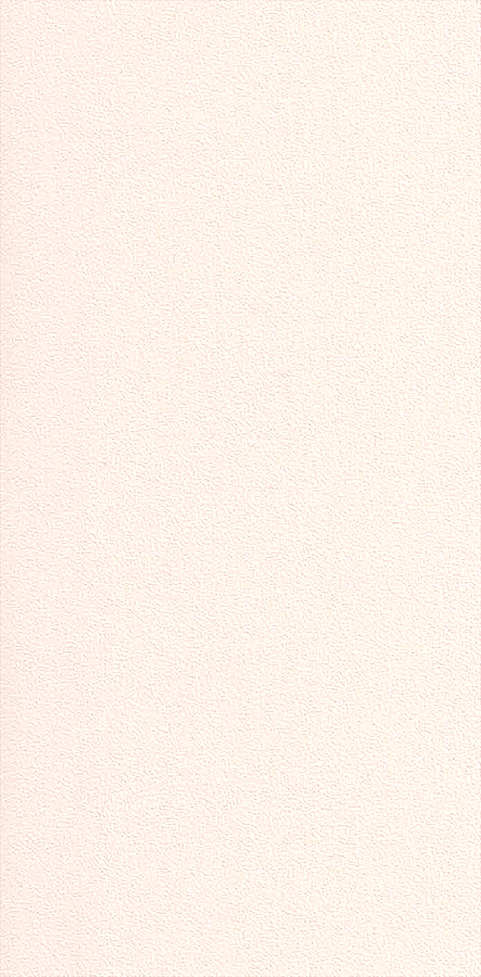 41 Krem Beyaz Mat 2084L PX