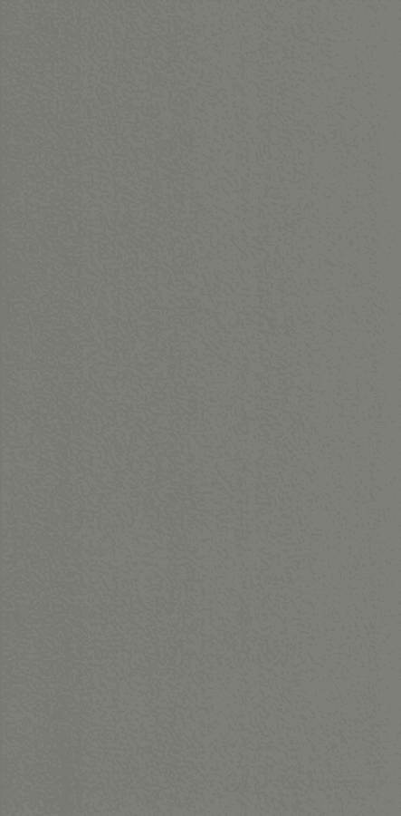 49 Ay Dansı C-31 N 1601L FX